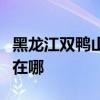 黑龍江雙鴨山可提供火王壁掛爐維修服務(wù)地址在哪