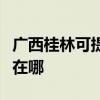 廣西桂林可提供瑰都啦咪壁掛爐維修服務(wù)地址在哪