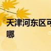天津河?xùn)|區(qū)可提供瑞能壁掛爐維修服務(wù)地址在哪