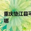 重慶墊江縣可提供博世洗碗機(jī)維修服務(wù)地址在哪