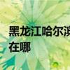 黑龍江哈爾濱可提供鉑圖壁掛爐維修服務(wù)地址在哪