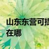 山東東營(yíng)可提供瑰都啦咪壁掛爐維修服務(wù)地址在哪