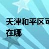 天津和平區(qū)可提供小松鼠壁掛爐維修服務(wù)地址在哪