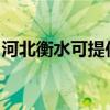 河北衡水可提供博世壁掛爐維修服務(wù)地址在哪