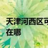 天津河西區(qū)可提供瑞帝安壁掛爐維修服務(wù)地址在哪