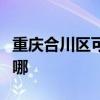 重慶合川區(qū)可提供博世洗碗機(jī)維修服務(wù)地址在哪