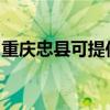 重慶忠縣可提供博世壁掛爐維修服務(wù)地址在哪