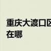 重慶大渡口區(qū)可提供半球壁掛爐維修服務(wù)地址在哪