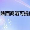 陜西商洛可提供半球壁掛爐維修服務(wù)地址在哪