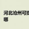 河北滄州可提供菲斯曼壁掛爐維修服務(wù)地址在哪
