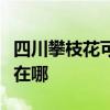 四川攀枝花可提供瑞帝安壁掛爐維修服務(wù)地址在哪