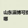 山東淄博可提供小松鼠壁掛爐維修服務(wù)地址在哪