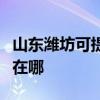 山東濰坊可提供飛利浦家庭影院維修服務(wù)地址在哪