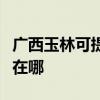 廣西玉林可提供馬蘭士家庭影院維修服務地址在哪