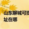 山東聊城可提供哈曼卡頓家庭影院維修服務(wù)地址在哪 山東聊城可提供哈曼卡頓家庭影院維修服務(wù)地址在哪