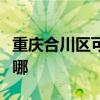 重慶合川區(qū)可提供小田清潔機(jī)維修服務(wù)地址在哪