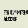 四川瀘州可提供哈曼卡頓家庭影院維修服務地址在哪