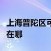 上海普陀區(qū)可提供安橋家庭影院維修服務(wù)地址在哪