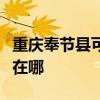 重慶奉節(jié)縣可提供新科家庭影院維修服務(wù)地址在哪
