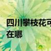 四川攀枝花可提供三星家庭影院維修服務(wù)地址在哪