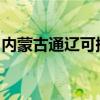 內(nèi)蒙古通遼可提供天龍音響維修服務(wù)地址在哪