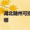 湖北隨州可提供新科家庭影院維修服務(wù)地址在哪