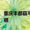 重慶豐都縣可提供飛利浦音響維修服務地址在哪
