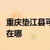 重慶墊江縣可提供索尼家庭影院維修服務(wù)地址在哪