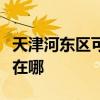 天津河?xùn)|區(qū)可提供先鋒家庭影院維修服務(wù)地址在哪
