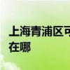 上海青浦區(qū)可提供先鋒家庭影院維修服務(wù)地址在哪