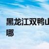 黑龍江雙鴨山可提供麥博音響維修服務(wù)地址在哪