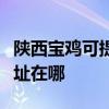 陜西寶雞可提供哈曼卡頓家庭影院維修服務地址在哪