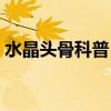 水晶頭骨科普 求大神說下真的有水晶頭骨嗎 