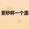 紫砂杯一個蓋多少錢 弱弱的問下紫沙杯價格 