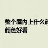 整個(gè)屋內(nèi)上什么顏色乳膠漆好看 我想知道室內(nèi)刷乳膠漆什么顏色好看 整個(gè)屋內(nèi)上什么顏色乳膠漆好看 我想知道室內(nèi)刷乳膠漆什么顏色好看