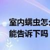 室內(nèi)螨蟲怎么消滅 怎樣去除室內(nèi)螨蟲知道的能告訴下嗎 