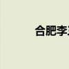 合肥李三安的航海裝飾怎么樣？
