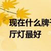 現(xiàn)在什么牌子的客廳燈好 請問什么牌子的客廳燈最好 
