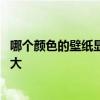 哪個(gè)顏色的壁紙顯得屋子亮 哪位說(shuō)說(shuō)什么顏色壁紙顯得屋子大 