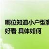 哪位知道小戶型客廳如何設計 哪位了解小戶型客廳怎么裝修好看 具體如何 