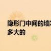 隱形門中間的墻怎么裝飾 隱形隔斷門怎么在客廳里加裝 要多大的 