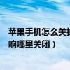 蘋果手機(jī)怎么關(guān)掉平板電話功能（蘋果手機(jī)跟平板電話同時(shí)響哪里關(guān)閉）