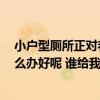 小戶型廁所正對(duì)著餐廳怎么辦 這個(gè)戶型餐廳和廁所對(duì)著 怎么辦好呢 誰(shuí)給我支點(diǎn)招 