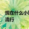 現(xiàn)在什么小飾品比較熱賣 誰知道什么飾品最流行 
