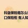 科堡保險箱怎么樣 買了一臺Burg-Waechter KG百衛(wèi)特進口保險柜 有人知道放在什么位置比較好嗎 