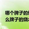 哪個牌子的燒水壺質(zhì)量好呢 朋友們講講買什么牌子的燒水壺 