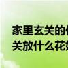 家里玄關(guān)的位置放什么花 誰(shuí)能告訴我門(mén)口玄關(guān)放什么花好 
