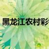 黑龍江農(nóng)村彩鋼房 黑龍江彩鋼房廠家哪家好 
