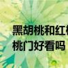黑胡桃和紅櫻桃門哪個好看 求大神解答黑胡桃門好看嗎 