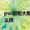 pvc櫥柜大概多少錢(qián) 有誰(shuí)能告訴我pvc櫥柜怎么樣 